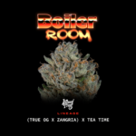 Boiler Room - Wizardtreesgenetics