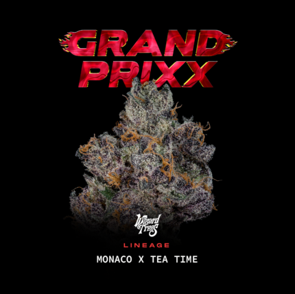 Grand Prixx - Wizardtreesgenetics