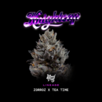 Knightcap - Wizardtreesgenetics