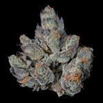 Last Pour - Wizardtreesgenetics