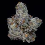 Lemon Fever - Wizardtreesgenetics