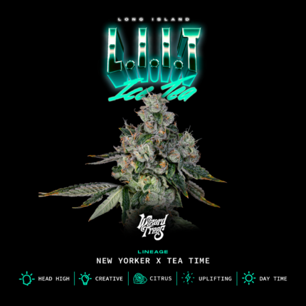 L.I.I.T - Wizardtreesgenetics