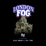 London Fog - Wizardtreesgenetics