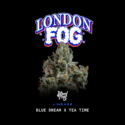 London Fog - Wizardtreesgenetics