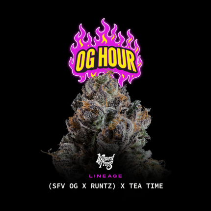 OG Hour - Wizardtreesgenetics