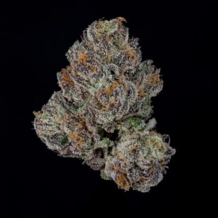 P’s & Z’s - Wizardtreesgenetics