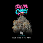 Propa Candy - Wizardtreesgenetics