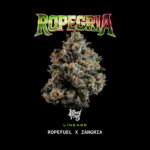 Ropegria - Wizardtreesgenetics