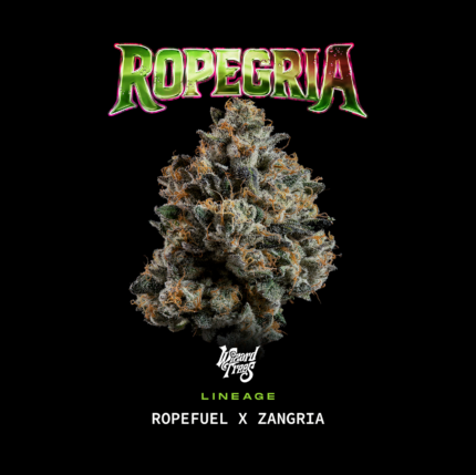 Ropegria - Wizardtreesgenetics