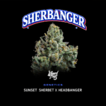 Shearbanger Seeds