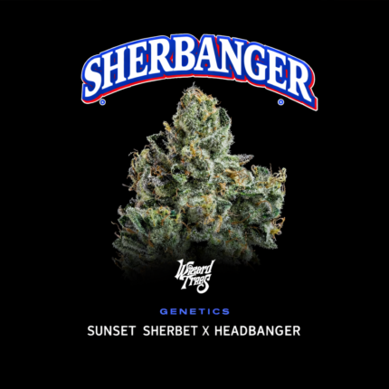 Shearbanger Seeds