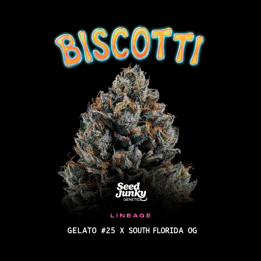 Biscotti Seeds Biscotti Seeds