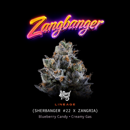 Zangbanger Seeds