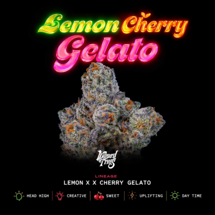 Lemon Cherry Gelato Seeds
