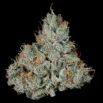 Permanent Marker feminized Seeds