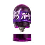 Runtz flower